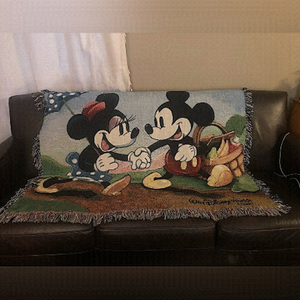 WALT DISNEY WORLD blanket, tapestry